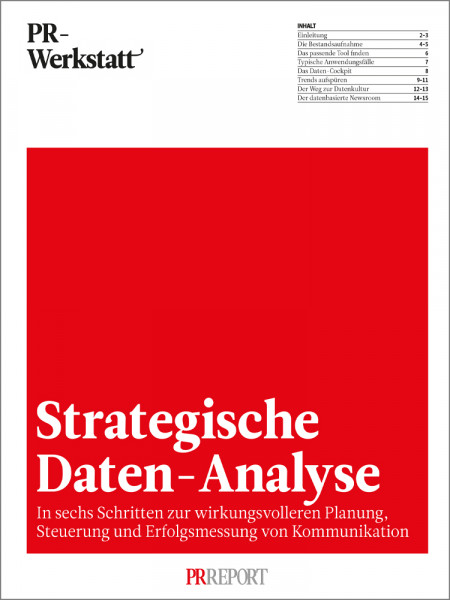 PR-Werkstatt: Strategische Daten-Analyse - In sechs Schritten zur wirkungsvolleren Planung, Steuerung und Erfolgsmessung von Kommunikation